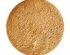 Effortless Foundation Honey 1.0 Powder